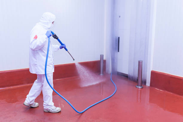 Best Paint Preparation  in Madisonville, LA