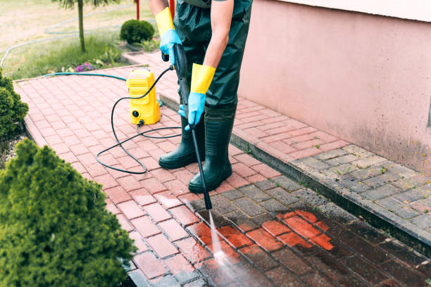 Animal Enclosure Cleaning in Madisonville, LA